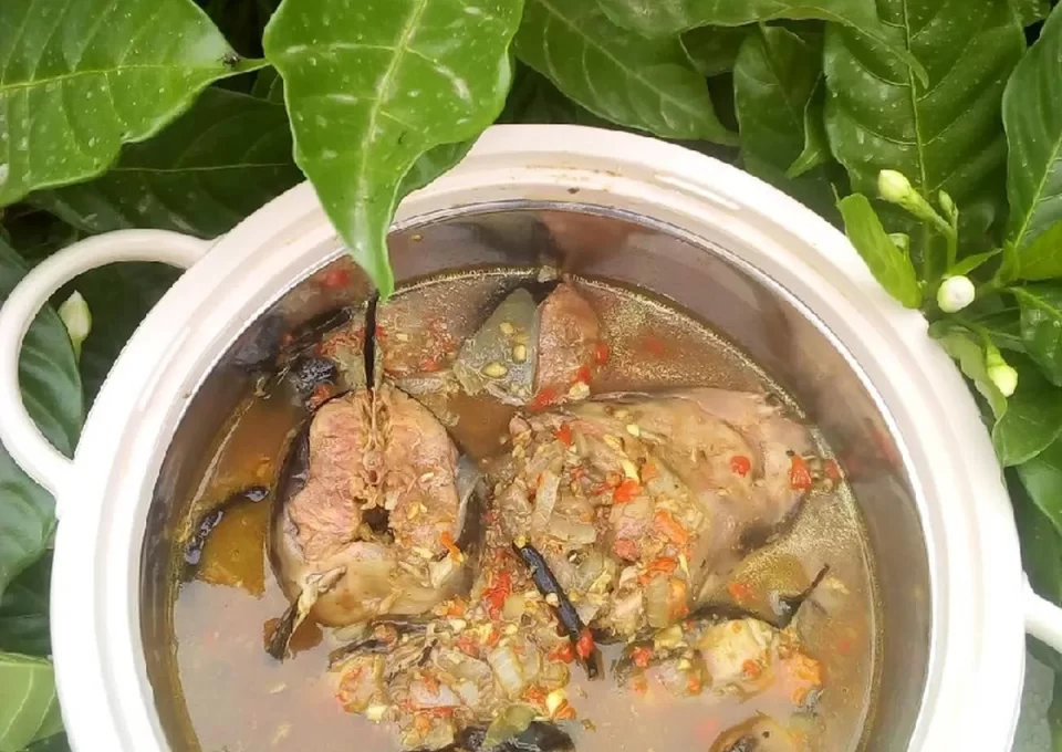 HOW TO COOK CATFISH PEPPER SOUP