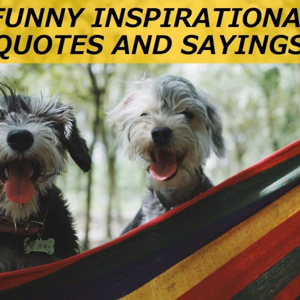 Funny but inspirational Quotes