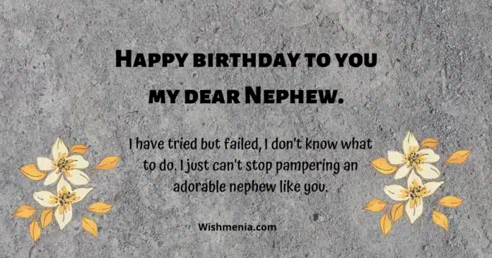 birthday wishes for nephews