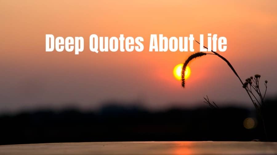 Deep Quotes About Life: Words Of Wisdom To Inspire