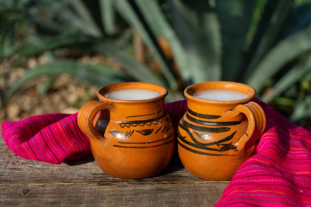 Mexican pulque