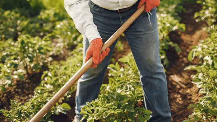 Must-Have Tools for Agricultural Producers