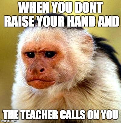 Best Monkey Memes!  Monkey memes, Monkeys funny, Funny monkey memes