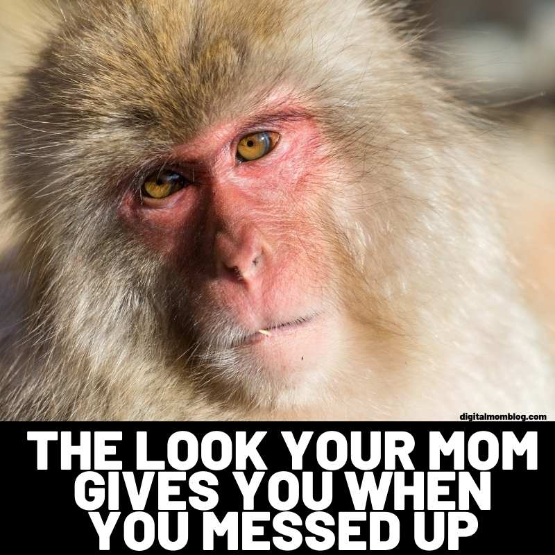 Memebase - monkey - Page 6 - All Your Memes In Our Base - Funny Memes -  Cheezburger