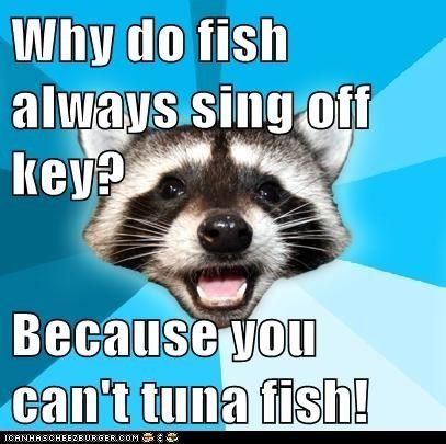 Why Do Fish Always Sing Off Key?