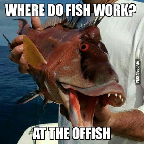 Where Do Fishes Work?