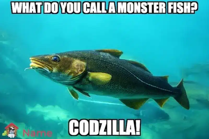 What Do You Call A Monster Fish