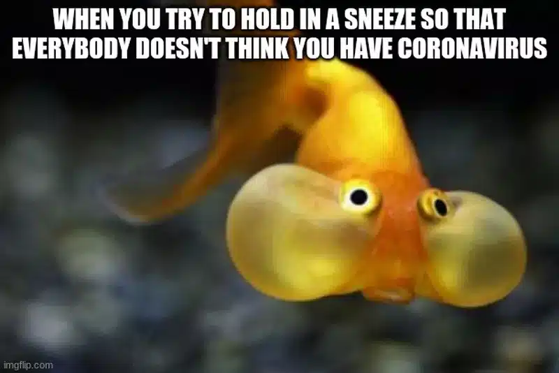 Thou Shall Not Sneeze