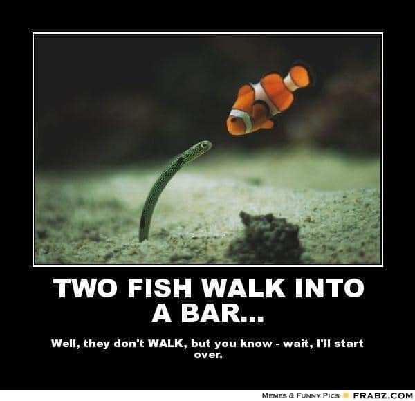 Wanna Hear A Fish Joke?