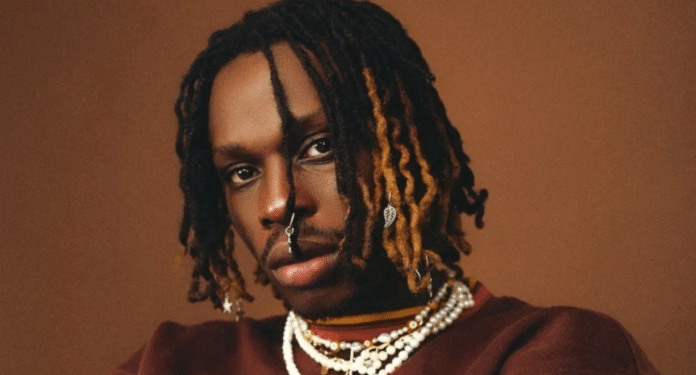Fame is manipulative, causes costly mistakes – Fireboy | Battabox.com
