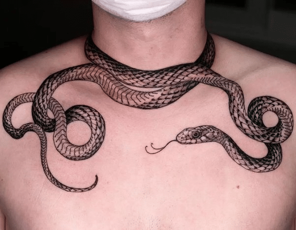 Barbed wire tattoo with a snake