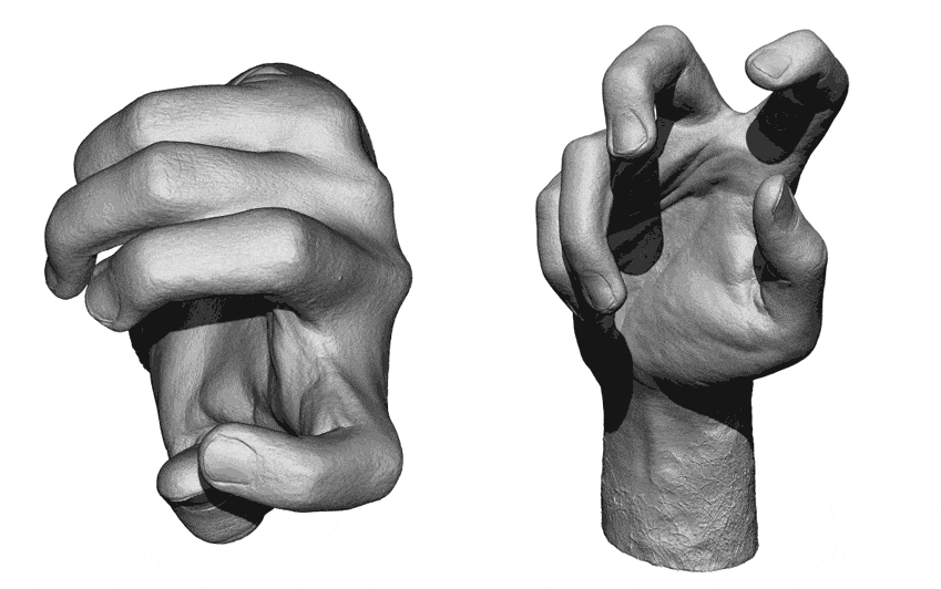 3D view of the hand anatomy