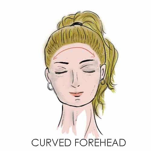 Curved forehead
