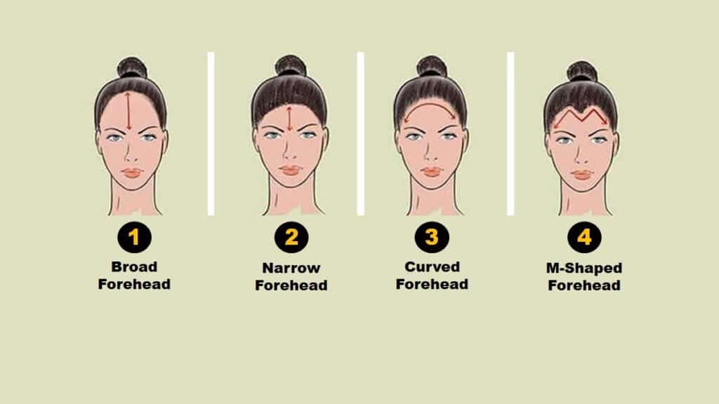 Types of Forehead