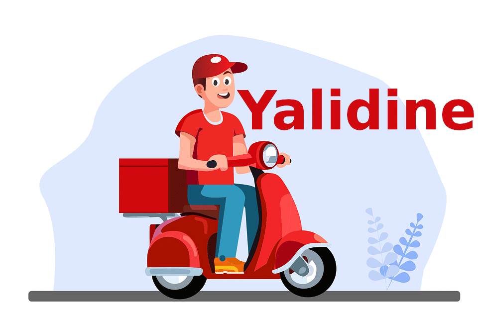 Yalidine logistics