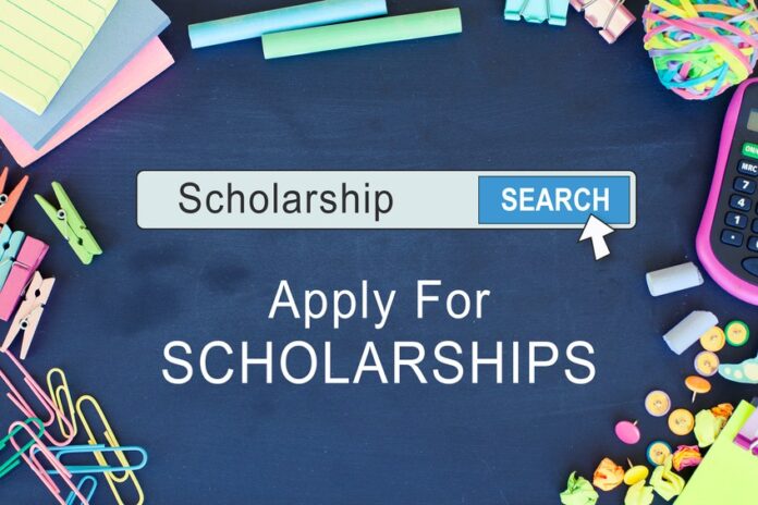 NGO Scholarships in Nigeria |