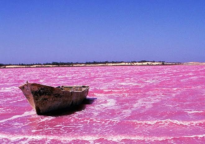 The Pink Lake Retba Senegal