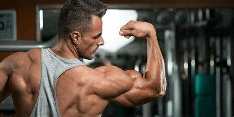 build muscles without supplement