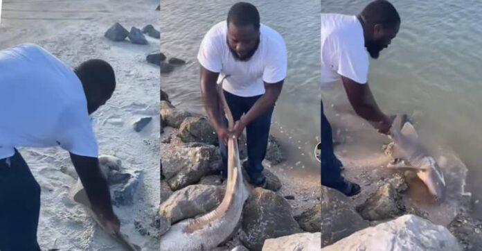 He no hungry for fish: Young man shows kindness to fish he finds in dust by releasing it back into a river | Battabox.com