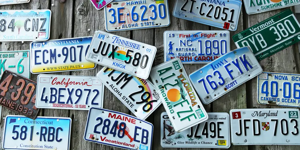 How to find your license plate number