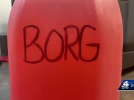Borg names