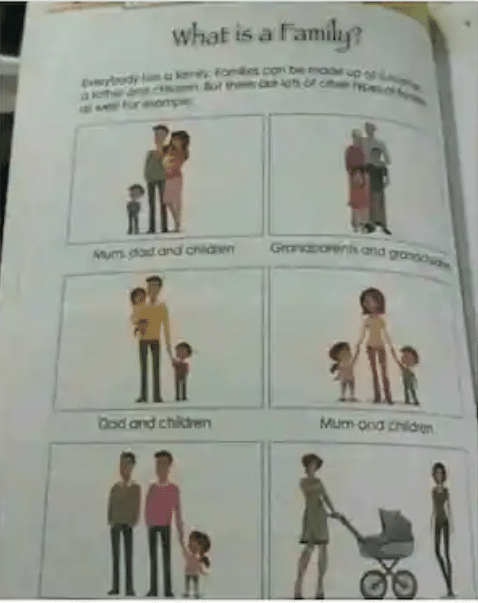 Mum sees disturbing pictures in children's textbook