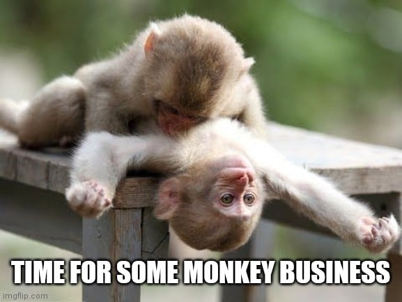 Time For Some Monkey Business