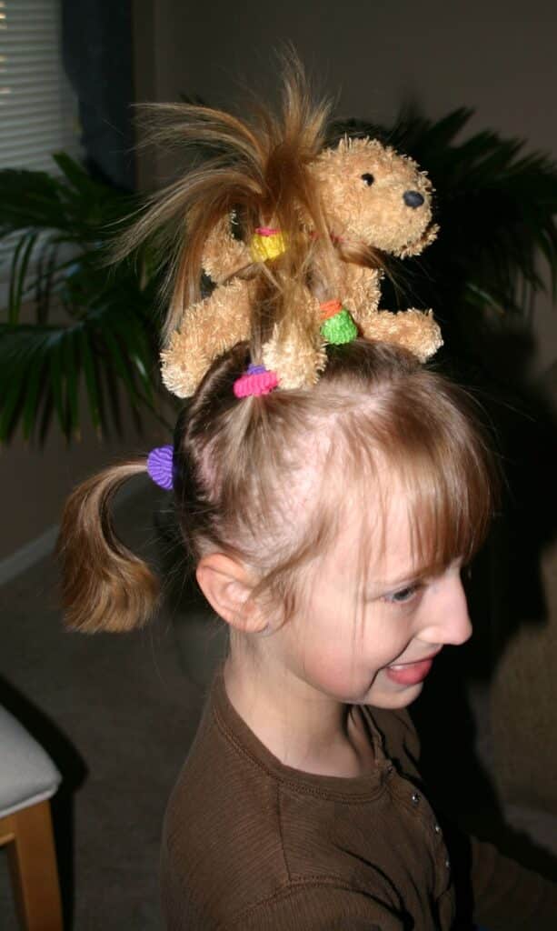 Crazy Animal Zoo Crazy Hair Day Ideas for Girls