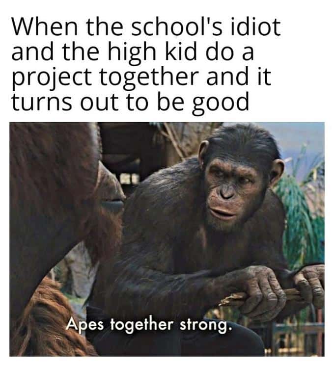 Apes strong Together