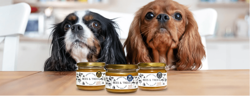 Honey and Medicinal Uses in Dogs