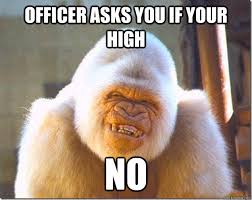 I'm Not High, Officer