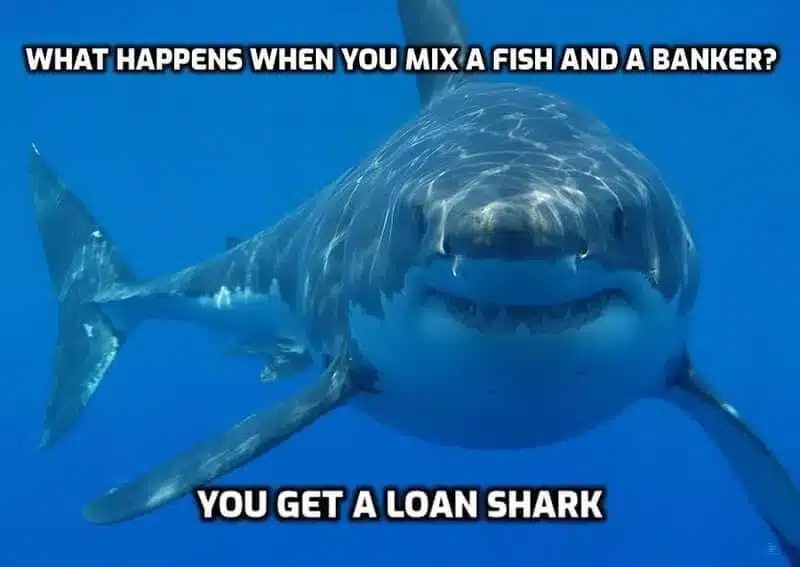 You Get A Lone Shark