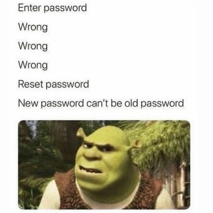 Shrek Funny Memes