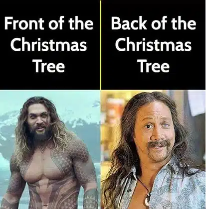 Top Christmas Memes