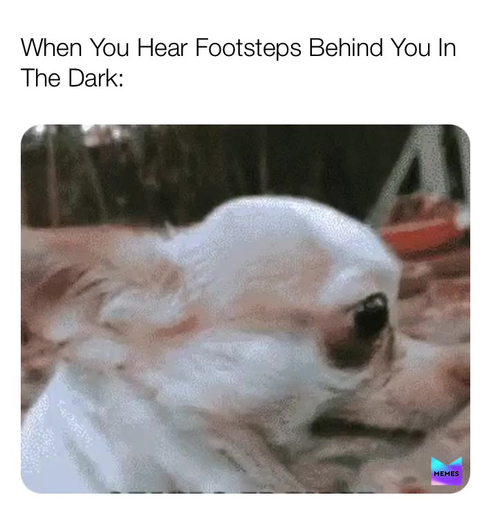 Dog side-eye memes