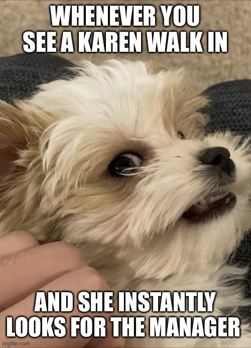 Dog side eye memes