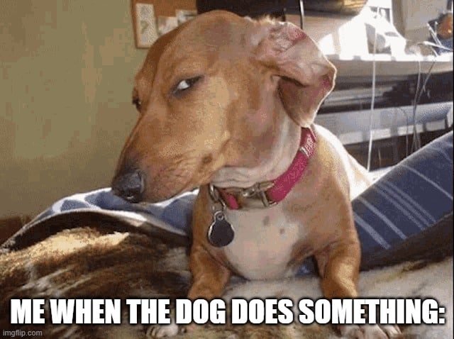 Dog Side-eye Meme