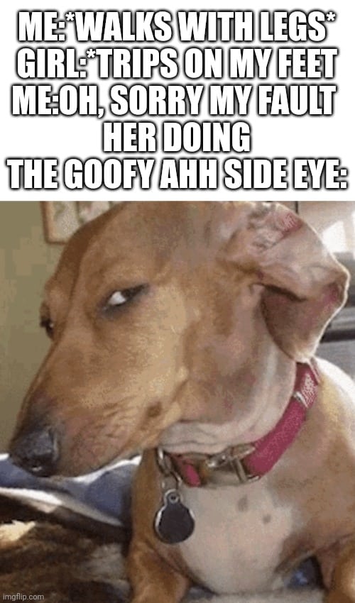 Side eye Dog Meme