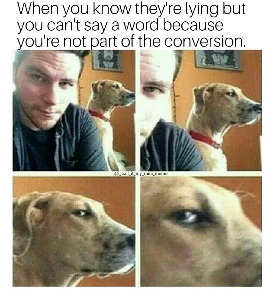Dog side eye meme