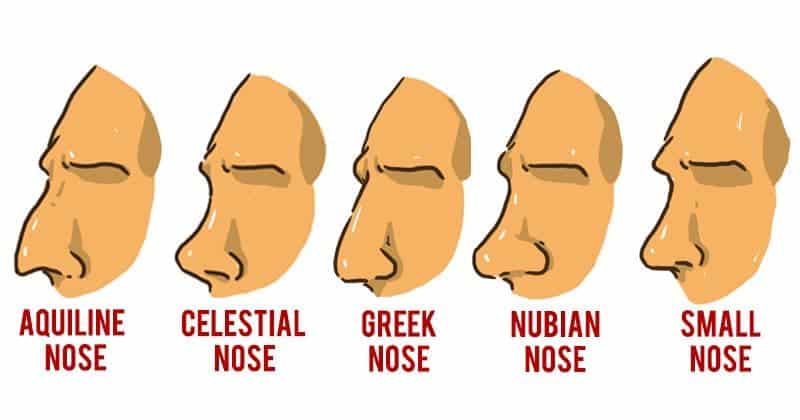 Celestial Nose