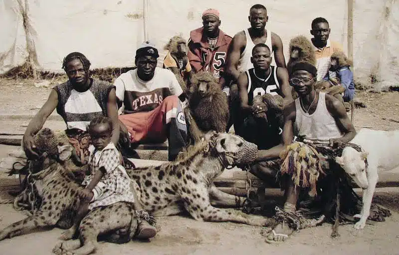 Young Northern Nigerian men with their Hyena Pets