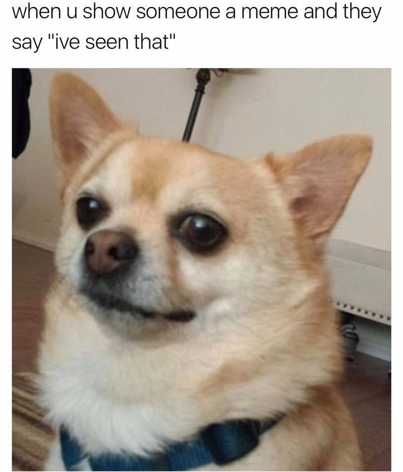 memes Dog side-eye 
