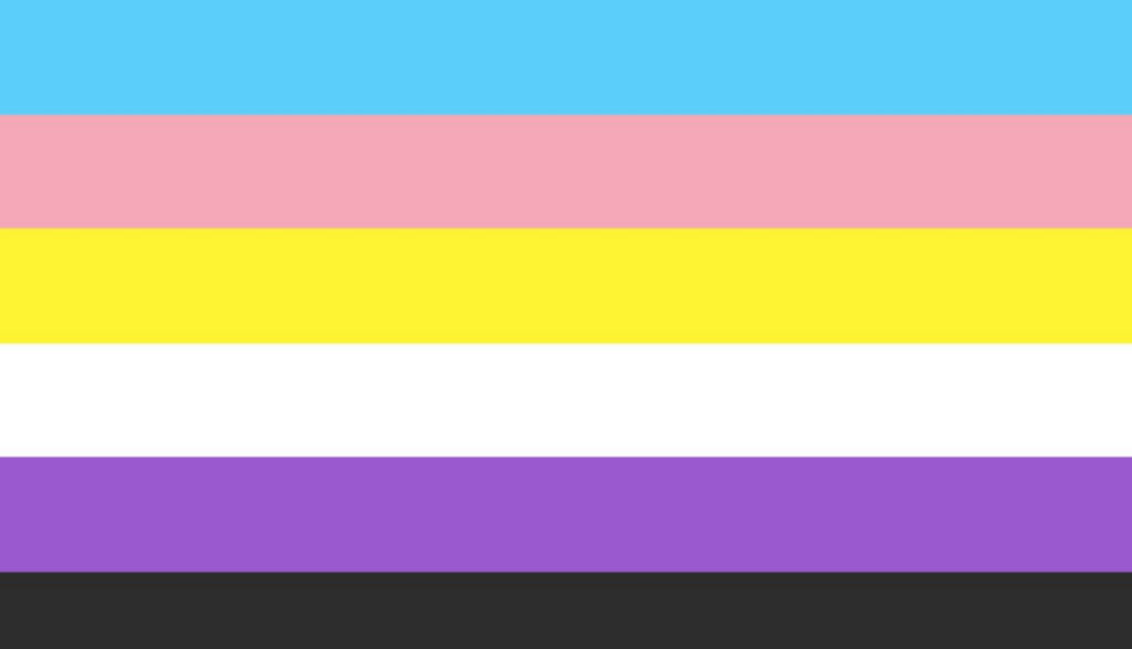 The Non-binary Flag Colours