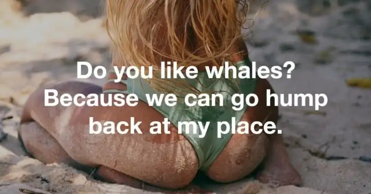 freaky pickup lines that will either get you laid or take you to hell for trying
